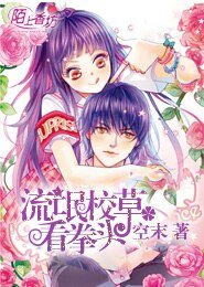 流氓校草:看拳头